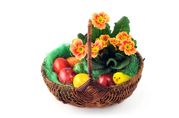 Œufs de Pâques dans le panier avec primula et poulet jaune — Photo