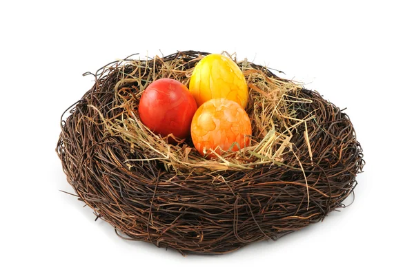 Wielkanocne jaja w gnieździe na na białym tle — Zdjęcie stockowe