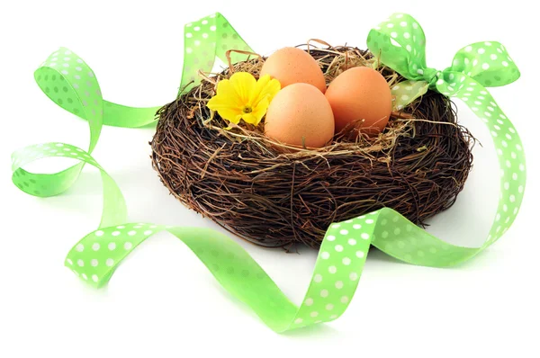 Easter eggs in basket with primula flower heads. ribbon around — Stock Photo, Image