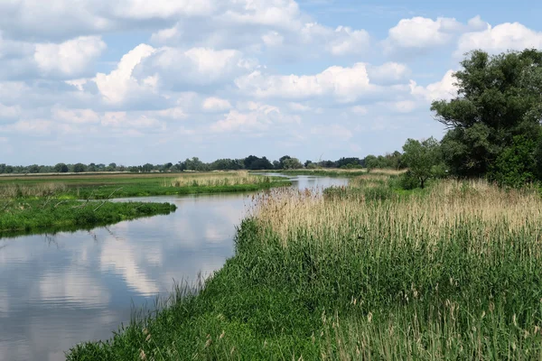 Havel river in summer flowing through Havelland (Brandenburg, Ge — Stock Photo, Image