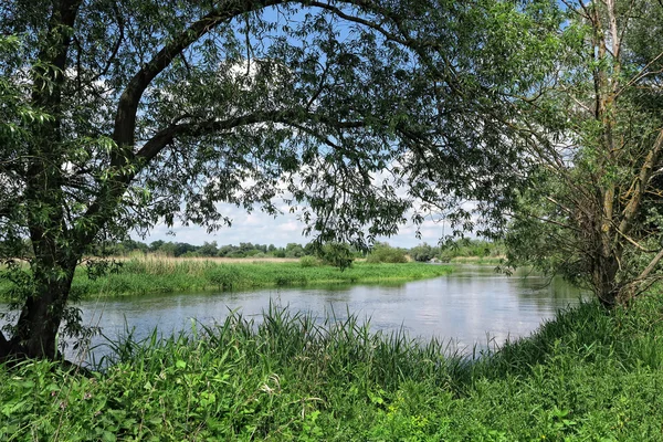 Havel rivier in de zomer stroomt door Havelland (Brandenburg, Ge — Stockfoto