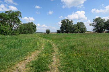 Tipik Havelland peyzaj üzerinde çayır (orme ile giden yol