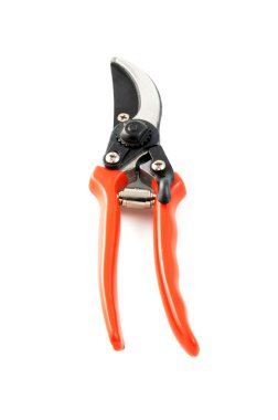 beyaz izole arka planda Bahçe yamultma