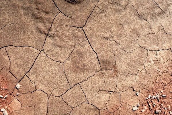 Cracked dirt mud. example of erosion — Stock Photo, Image