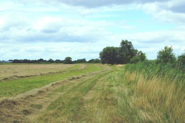 bir çayır Havelland (Brandenburg, Almanca Havel Nehri, saman