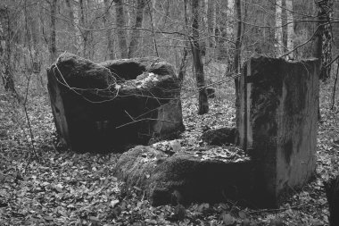 İkinci Dünya Savaşı'nın eski sığınak parçaları