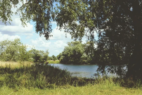 Rzeki Havel, w okresie letnim — Zdjęcie stockowe