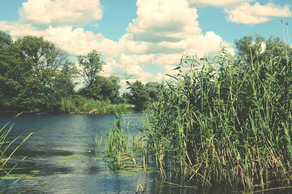 Ποταμός Havel στο θερινή ώρα — Φωτογραφία Αρχείου