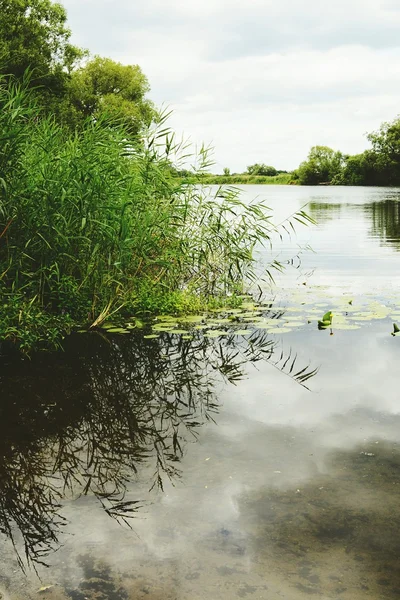 Il fiume Havel durante l'estate — Foto Stock