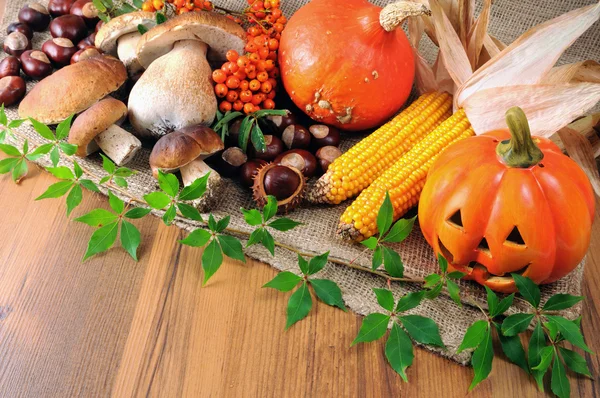 Осенние фрукты, такие как тыква, грибы и каштаны — стоковое фото