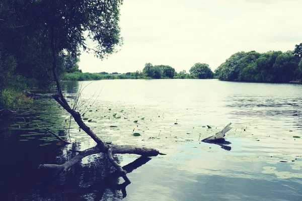 Krajobraz rzeki Havel, w okresie letnim (Havelland, Niemcy) — Zdjęcie stockowe