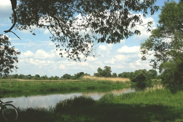 Pemandangan sungai Havel dengan pohon willow tua di musim panas. Vinta — Stok Foto