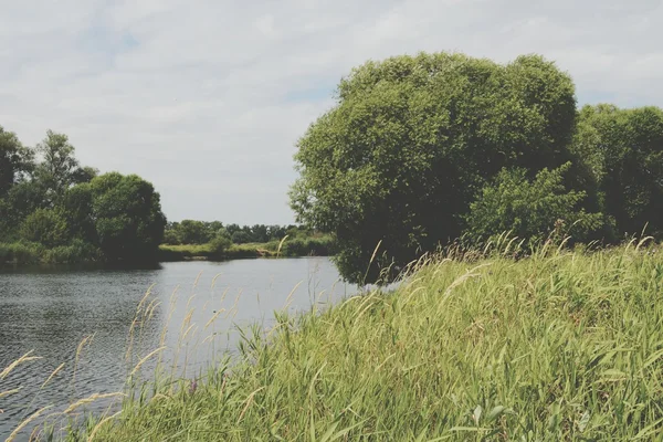 Pemandangan sungai Havel dengan pohon willow tua di musim panas. Vinta — Stok Foto