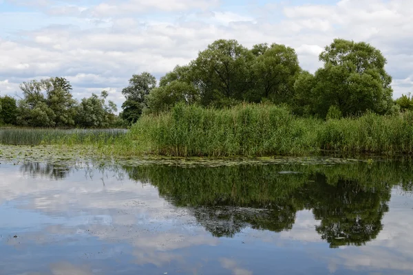 Río Havel a la hora de verano (Brandeburgo, Alemania) ). — Foto de Stock