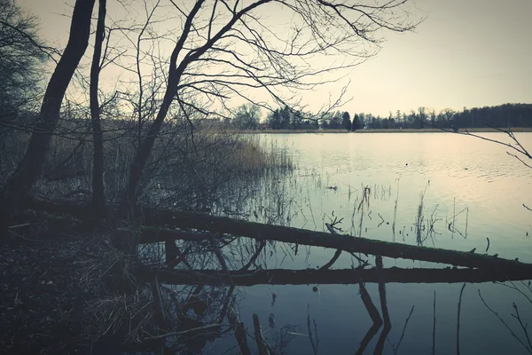 Podzimní rybník s volno — Stock fotografie
