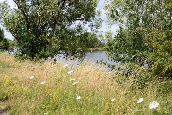 Sungai Havel pada waktu musim panas (Brandenburg, Jerman). Padang rumput . — Stok Foto