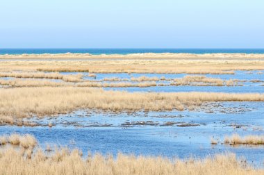 Western Vorpommern Lagün Bölgesi Ulusal Parkı ile yürüyüş 