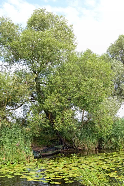 Fiume Havel durante l'estate (Brandeburgo, Germania). barche su shor — Foto Stock