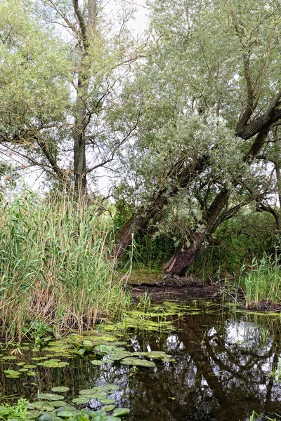 Fiume Havel all'ora legale (Brandeburgo, Germania ). — Foto Stock