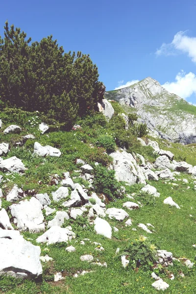 Senderismo en la montaña Rofan aeria en el Tirol (Austria ) —  Fotos de Stock