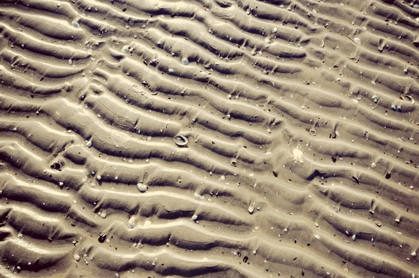 Dalgalar deniz kabukları ile kum. — Stok fotoğraf