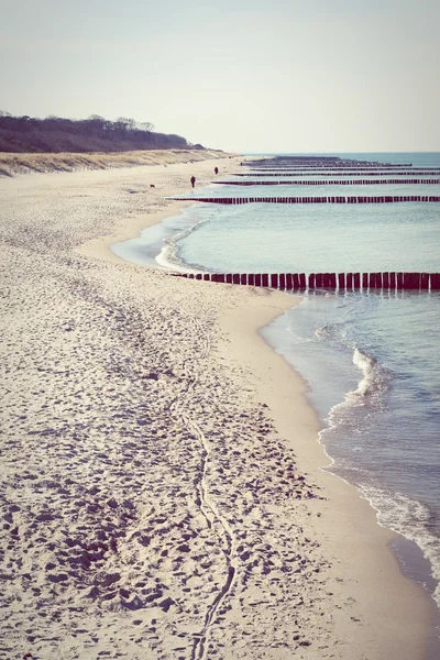 Praia da península de Darss (Mecklenburg-Vorpommern ) — Fotografia de Stock