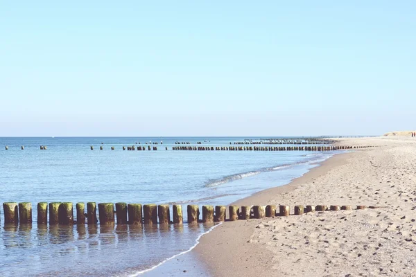 Stranden av Darss halvön (Mecklenburg-Vorpommern) — Stockfoto