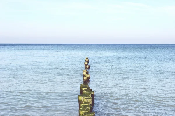 Пляж полуострова Дарсс (Мекленбург-Передняя Померания) ) — стоковое фото