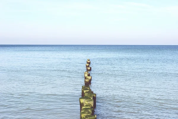 Plage de la péninsule Darss (Mecklembourg-Poméranie-Occidentale) ) — Photo