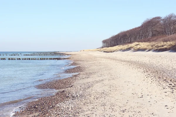 Strand der Halbinsel Darß (mecklenburg-vorpommern)) — Stockfoto