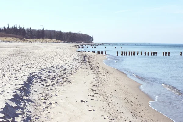 Stranden av Darss halvön (Mecklenburg-Vorpommern) — Stockfoto