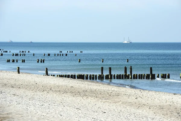 Stranda på Darss-halvøya (Mecklenburg-Vorpommern ) – stockfoto