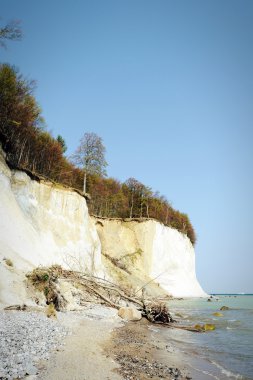 Tebeşir cliff kayalar Rügen Isle Sassnitz (Almanya'nın)