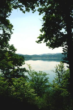 onun ağaçları ile Laacher See Gölü için görüntüleyin. 