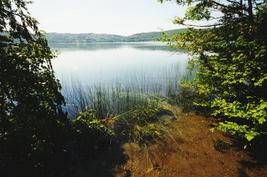 onun ağaçları ile Laacher See Gölü için görüntüleyin. 