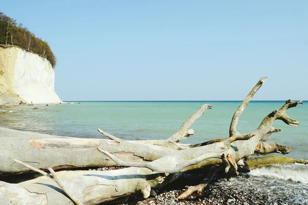 Krita klippan klippor Rugen isle på Sassnitz (Tyskland) — Stockfoto