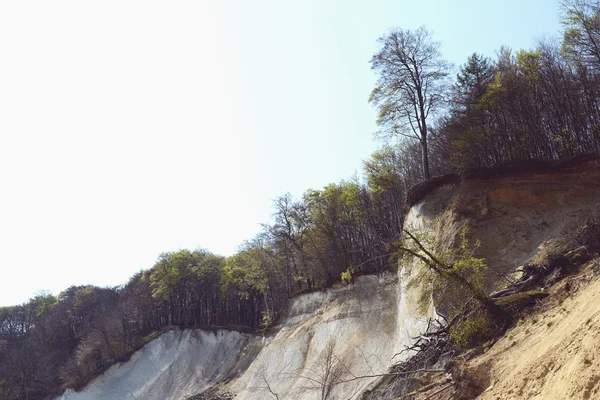 Κιμωλία στα βράχια γκρεμό από την Νήσο Rugen σε Sassnitz (Γερμανία) — Φωτογραφία Αρχείου