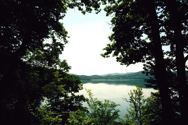 Blick auf den Laacher See mit seinen Bäumen. — Stockfoto
