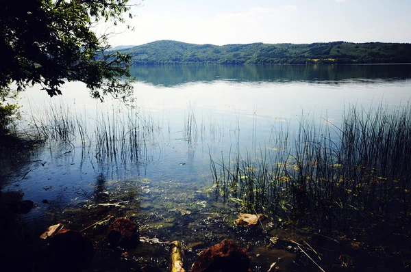 Vue sur Laacher Voir le lac avec ses arbres . — Photo