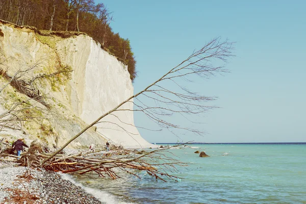 Krita klippan klippor Rugen isle på Sassnitz (Tyskland) — Stockfoto