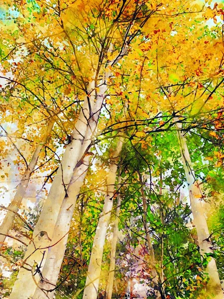 Aquarela Ilustração Topos Árvores Outono Floresta — Fotografia de Stock