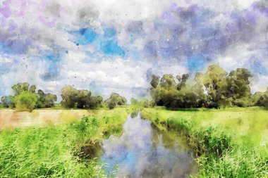 Yaz zamanı, söğüt ağacı ve sazlıklarla dolu bir nehir manzarası. Almanya.