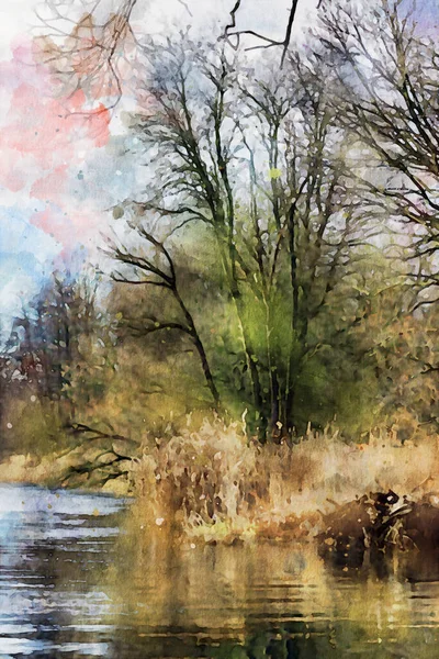 Malarstwo Akwarelowe Starego Drzewa Wierzbowego Rzece Havel Havelland Niemczech Czas — Zdjęcie stockowe