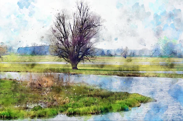 Aquarelle Vieil Arbre Saule Sur Rivière Havel Havelland Allemagne Heure — Photo