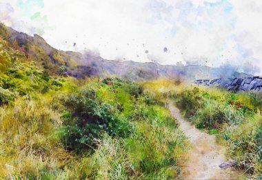 Hiddensee Adası Baltık Denizi Almanya manzarası. Kum tepelerinin içinden. Suluboya resim.