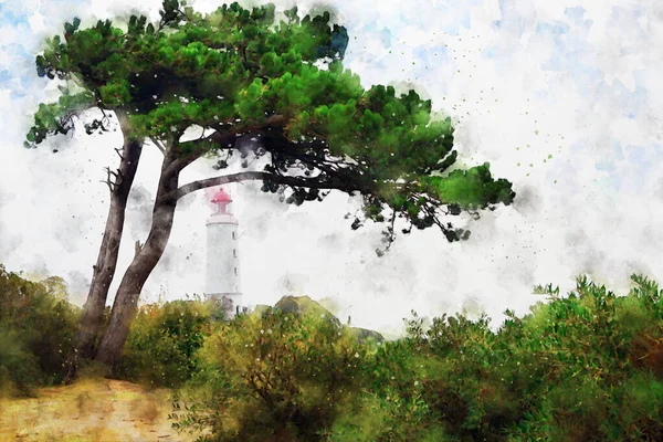 Leuchtturm Der Ostseeinsel Hiddensee Vorne Kiefer Aquarellillustration — Stockfoto