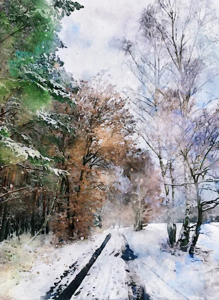 Зимний Лес Заснеженными Соснами Лесной Путь — стоковое фото