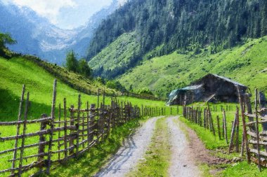 Yüksek Tauern sıradağlarındaki Avusturyalı tirol tarlalarının yağlı boya tabloları..