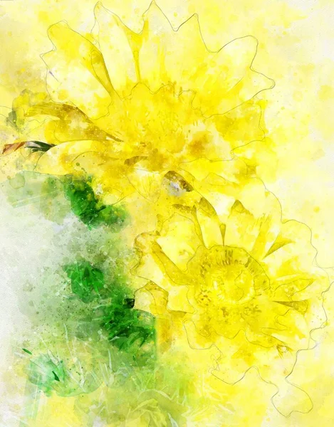 Aquarellmalerei Von Fasanenauge Adonis Vernalis Blume Voller Blüte — Stockfoto