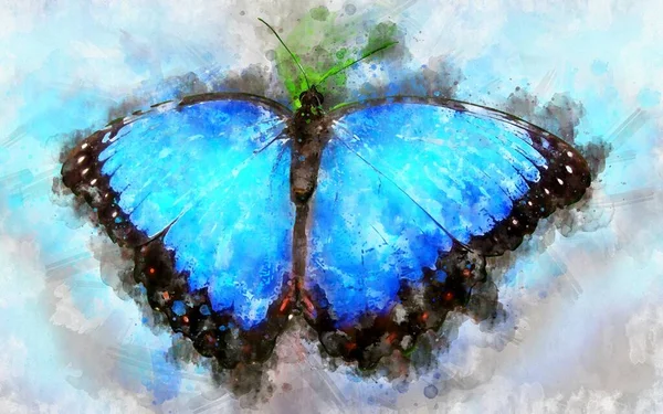 Aquarell Illustration Des Exotischen Peleides Blauen Morpho Schmetterlings — Stockfoto